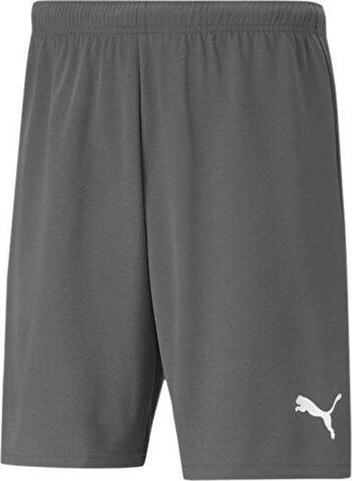Teamrise Short Erkek Şortu 70494213 Gri