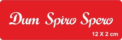 Nefes Aldığım Sürece Umut Edeceğim Tattoo Geçici Dövme Şablonları Kına Kalıpları