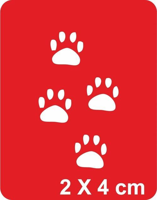 Patiler Tattoo Geçici Dövme Şablonları Kına Kalıpları