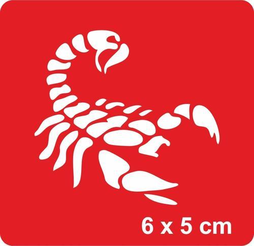 Klasik Akrep Tattoo Geçici Dövme Şablonları Kına Kalıpları