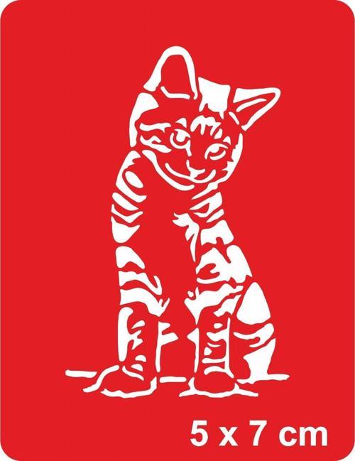 Güzel Kedi Tekir Tattoo Geçici Dövme Şablonları Kına Kalıpları