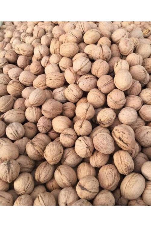 Kabuklu Ceviz 1Kg