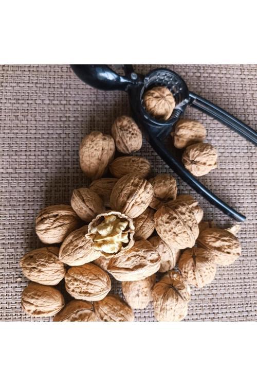 Niğde Ulukışla Yöresi İlaçsız İnce Kabuklu Ceviz 1 Kg