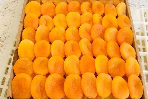 Organik Kayısı Kurusu 1 Kg