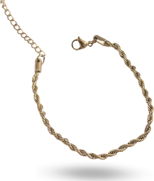 Zarif Kadın için Golden Çelik Burgu Zincir Tasarım Bileklik