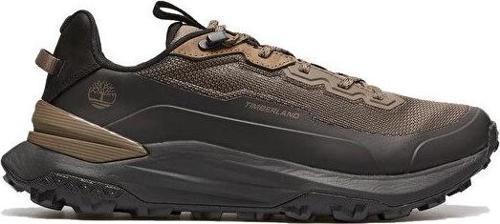 Motion Access Low Lace Up Sneaker Erkek Outdoor Ayakkabısı TB0A6F16EBF1 Haki