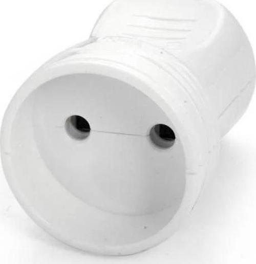 Topraksız Dişi Fiş