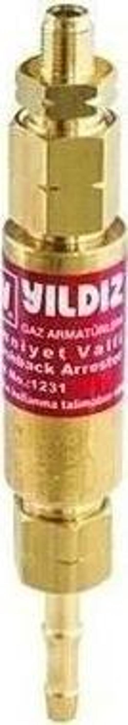 1231 Alev Emniyet Valfi Basınç Düşürücü İçin Propan