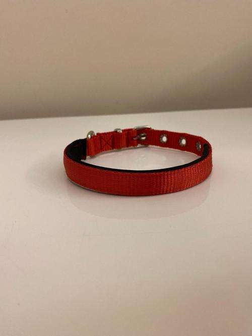 Ayarlanabilir Köpek Boyun Tasması