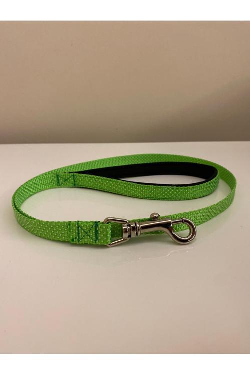 Köpek Gezdirme Kayışı Tasma