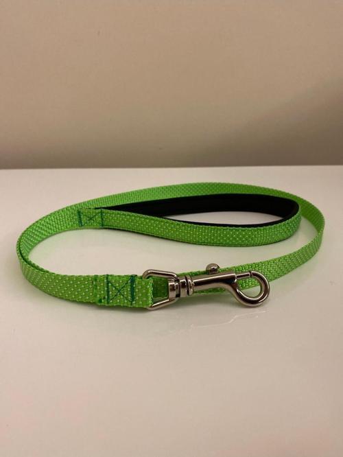 Köpek Gezdirme Kayışı Tasma