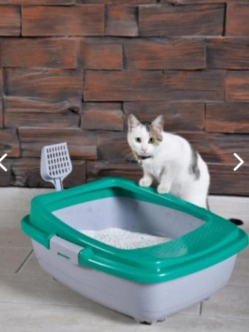 Açık Kedi Tuvaleti