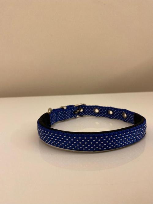 Ayarlanabilir Köpek Boyun Tasması