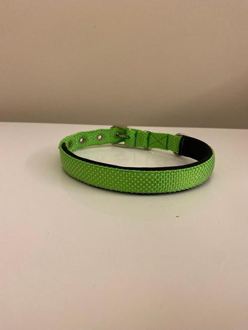 Yumuşak Dokulu Köpek Tasması