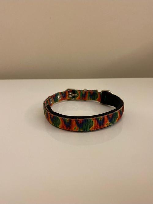 Renkli Desenli Köpek Tasması 2X50 Cm