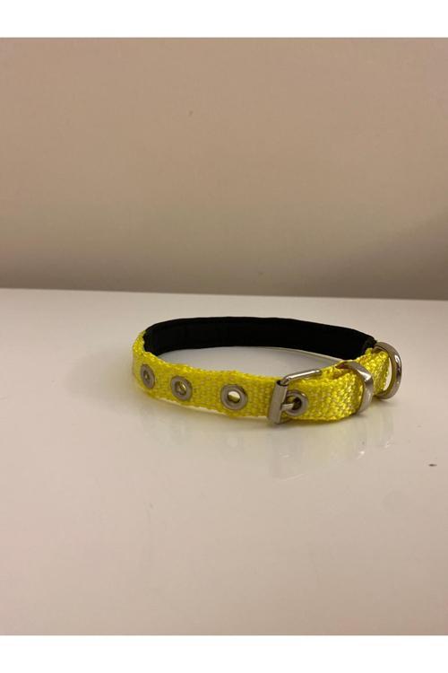 Yumuşak Dokulu Köpek Tasması