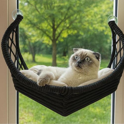 Hilal Kedi Cam Yatağı & Cam Askılı Vantuzlu Kedi Yatağı