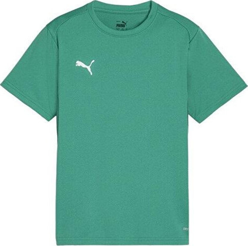Teamgoal Jersey Erkek Futbol Antrenman Tişörtü 65863605 Yeşil