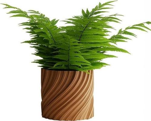 Natura Modern Dekoratif Saksı