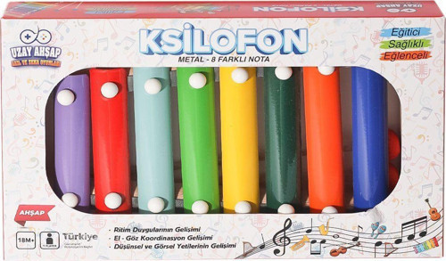 5227 KSİLOFON Kız Erkek Çocuk Oyuncak Eğitici Oyuncaklar