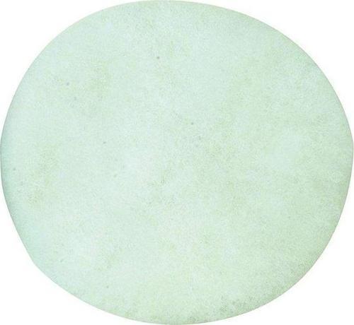 28664 Wp-E için Parlatma Diski