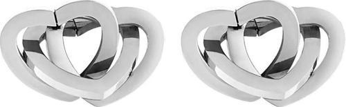 Danıel Kleın Kadın Çelik Küpe Dkj.3.5009-1