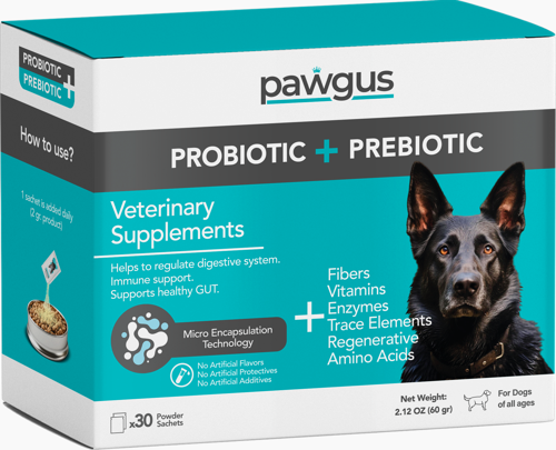 Veteriner Serisi Köpekler Için Probiyotik Prebiyotik Sindirim Sistemi Düzenleyici (30X2GR)