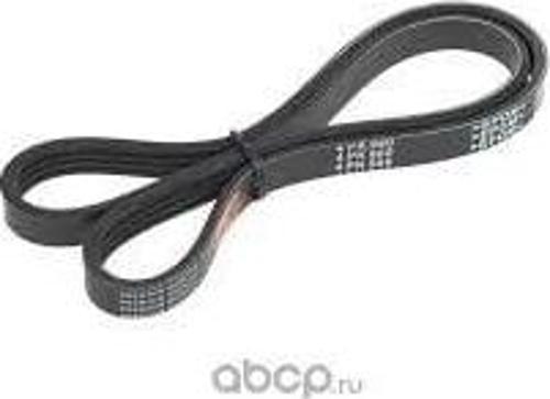 KANALLI KAYIS BMW-CITROEN-FORD-MAZDA-NISSAN-PORSCHE-TOYOTA  9091602354