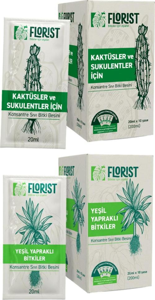 Bitki Besini İkili Bitki Bakım Seti | Başlangıç Paketi Yeşil Yapraklı Bitkiler Ve Kaktüsler