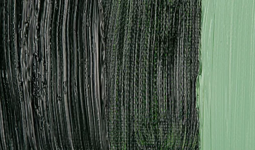 Classico 60ml Yağlı Boya 358 Sap Green