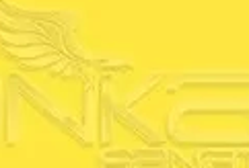 Art&Graphic Polychromos Artist Kuru Boya Kalemi 105 Light Cadmium Yellow