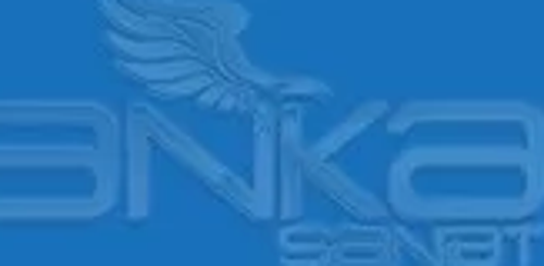 Art&Graphic Polychromos Artist Kuru Boya Kalemi 151 Helioblue Reddish