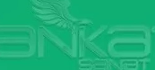 Art&Graphic Polychromos Artist Kuru Boya Kalemi 163 Emerald Green
