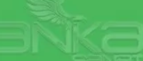 Art&Graphic Polychromos Artist Kuru Boya Kalemi 112 Leaf Green