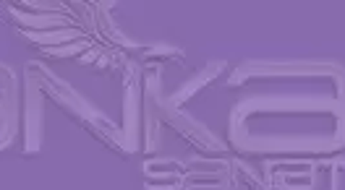 Art&Graphic Polychromos Artist Kuru Boya Kalemi 138 Violet