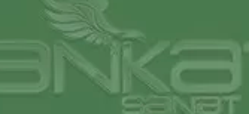 Art&Graphic Polychromos Artist Kuru Boya Kalemi 167 Permanent Green Olive