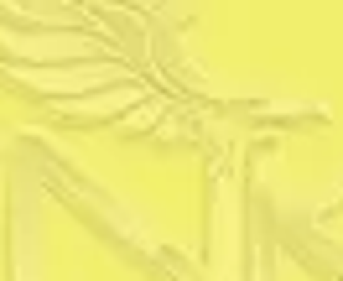 Art&Graphic Polychromos Artist Kuru Boya Kalemi 104 Light Yeloow Glaze