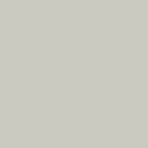 Artist Pastel Boya Kalemi 8820/35 Light Grey