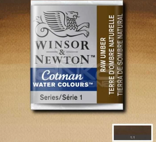 Tablet Sulu Boya No:554 Raw Umber