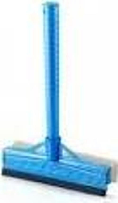 SÜNGERLİ CAMSİL (81)