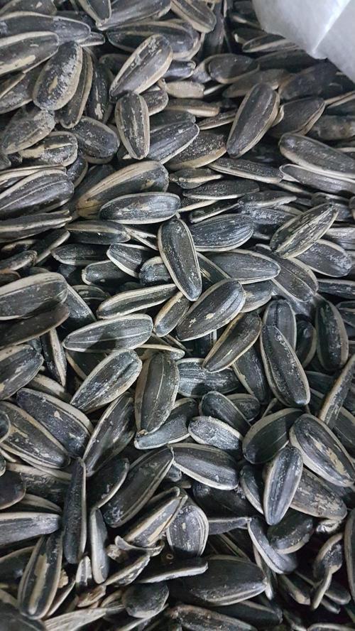 Çekirdek 1 Kg