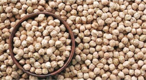 Organik Yayla Nohutları 5 Kg