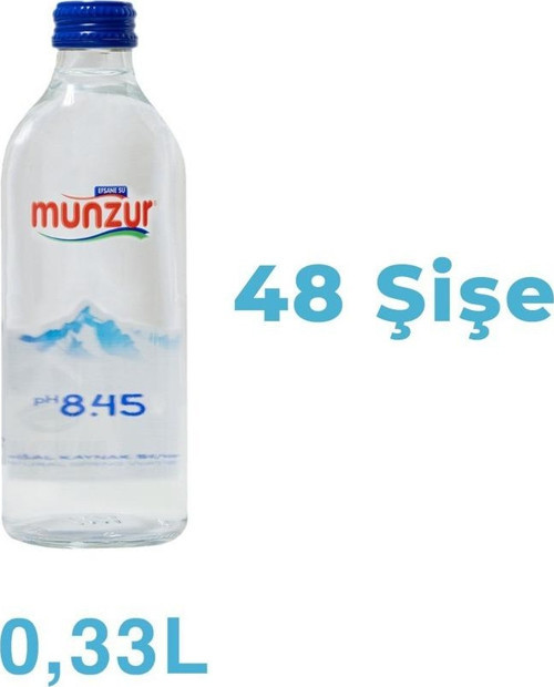 Su Cam Şişe 330 Ml 12 X 4 Koli (Toplam 48 Şişe)