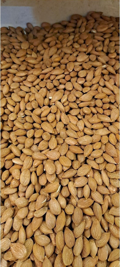 Kayısı Çekirdeği 1Kg