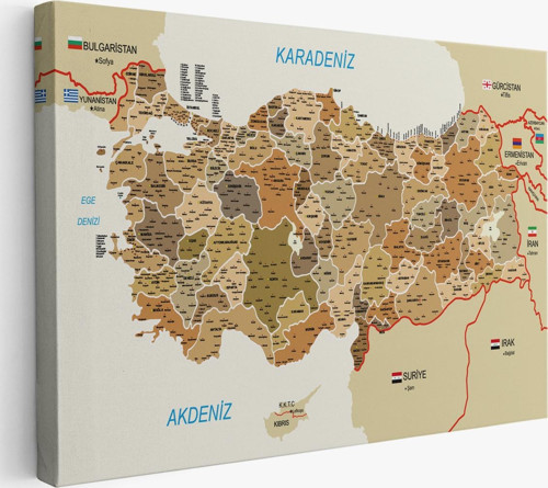 Türkiye Haritası Kanvas Tablo İl Ve İlçeli Ayrıntılı Eğitici Komşulu Dekoratif Tablo 3020