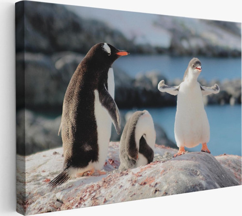 Mutlu Penguenler Dekoratif Kanvas Tablo 1172