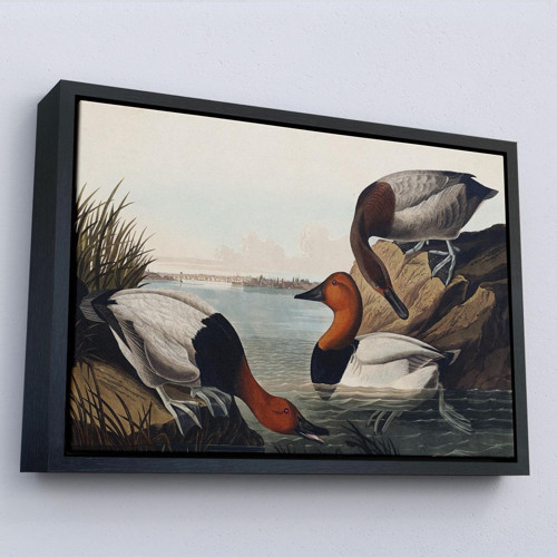 Çerçeveli John James Audubon Ördekler Tablosu-7030