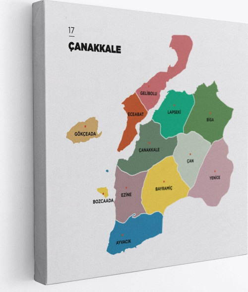 Çanakkale İli Ve İlçeler Haritası Dekoratif Kanvas Tablo 1310