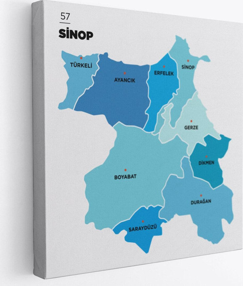 Sinop İli Ve İlçeler Haritası Dekoratif Kanvas Tablo 1453