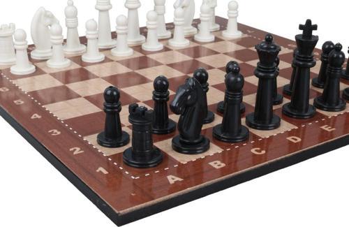 Çantalı Küçük Boy Plastik Taşlı Satranç Takımı